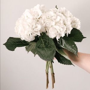 Meet your Posher, Liliya